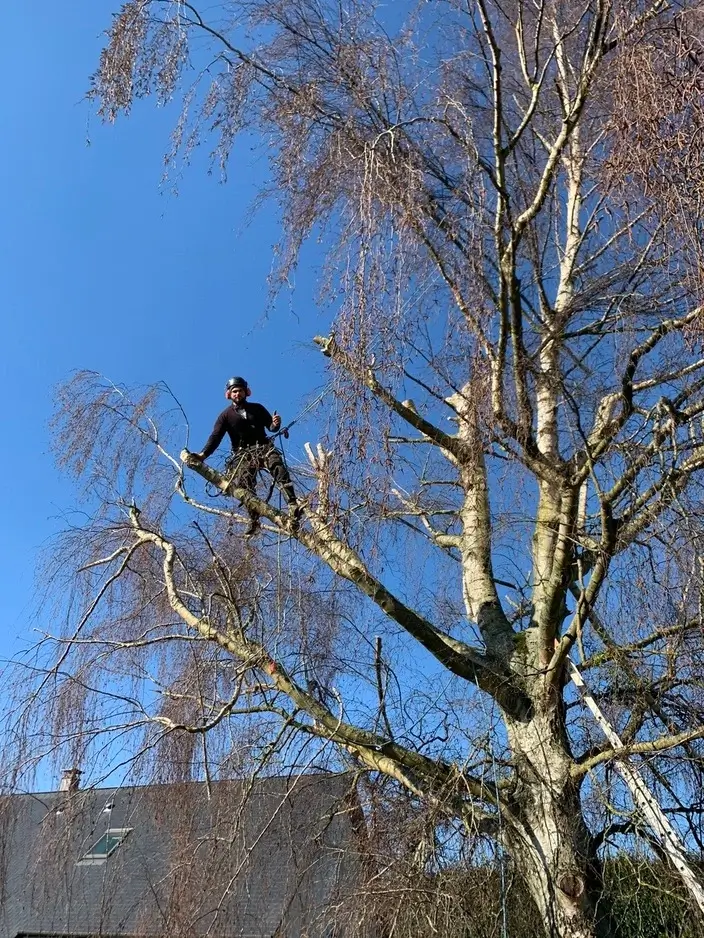 Relume placeholder image 1