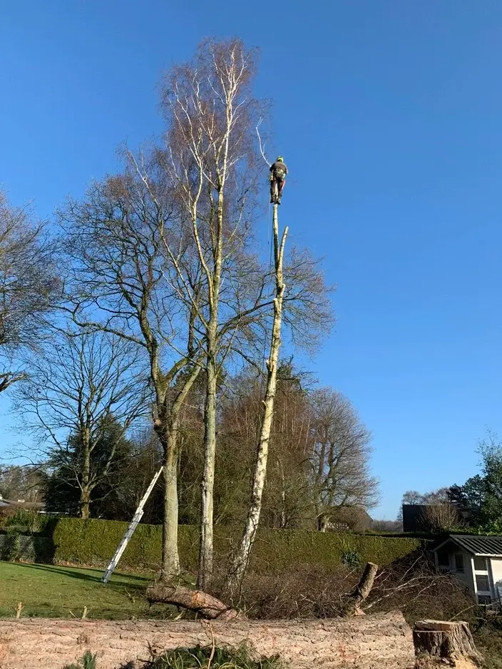 Relume placeholder image 2