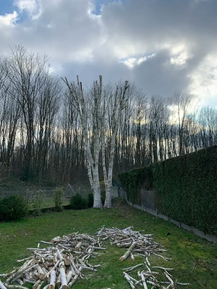 Relume placeholder image 6