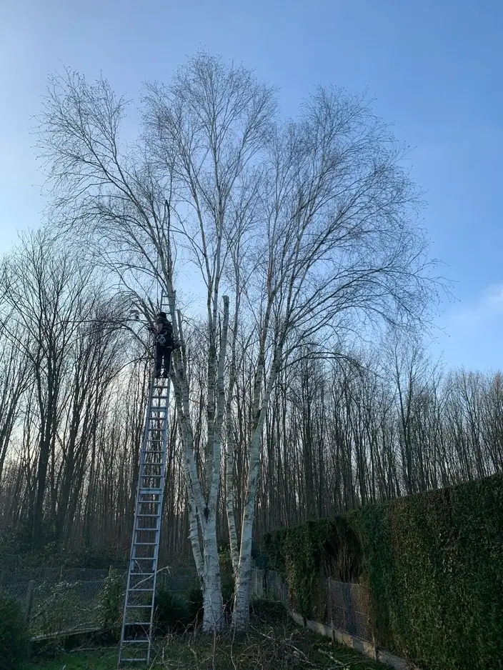 Relume placeholder image 3