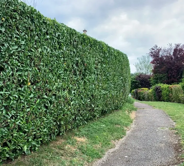 Relume placeholder image 5