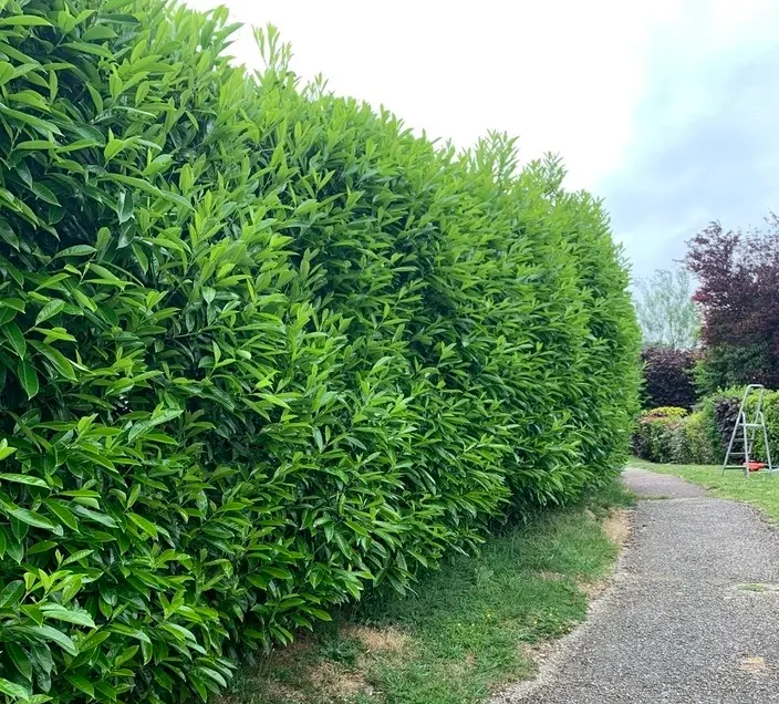 Relume placeholder image 4