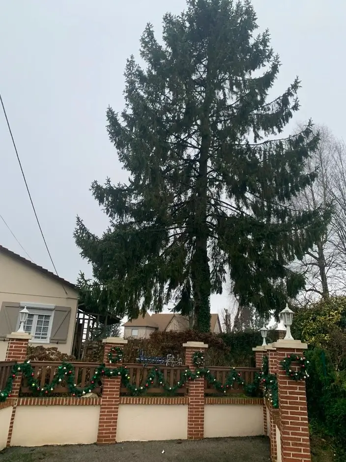 Relume placeholder image 7