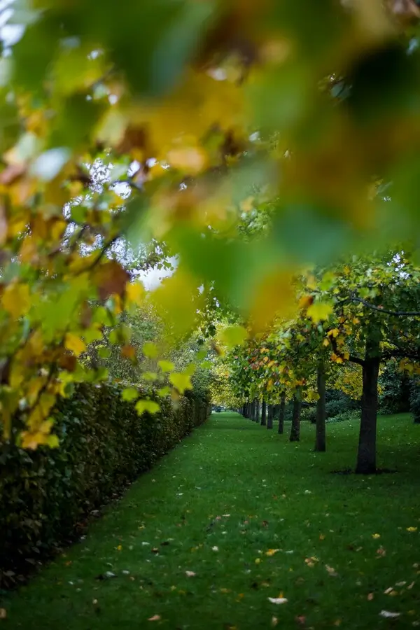 Découvrez notre savoir-faire | Ch Espace Vert